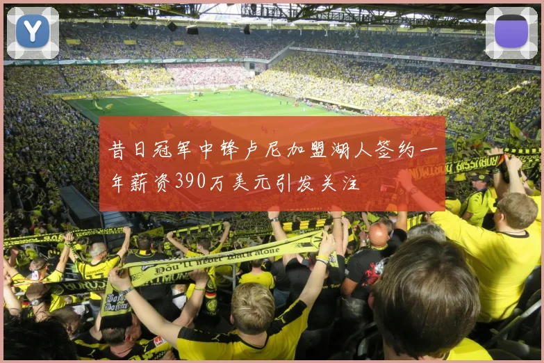 昔日冠军中锋卢尼加盟湖人签约一年薪资390万美元引发关注