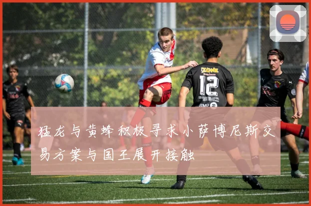 猛龙与黄蜂积极寻求小萨博尼斯交易方案与国王展开接触