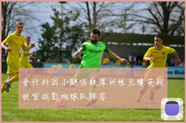 舍什科因小腿伤缺席训练无缘英超收官战影响球队阵容
